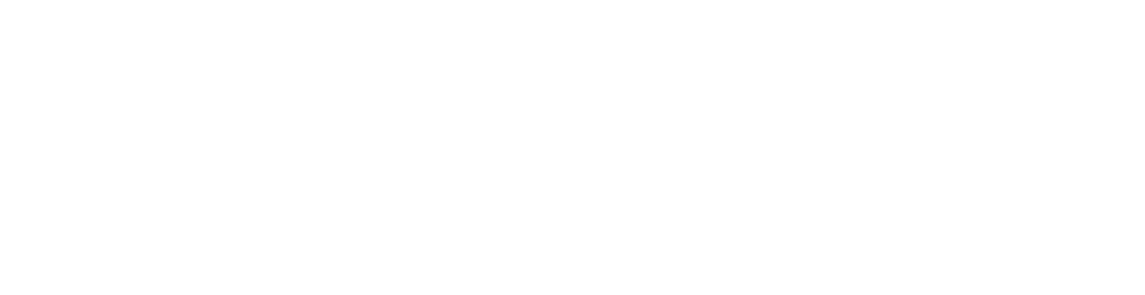 footer-logo